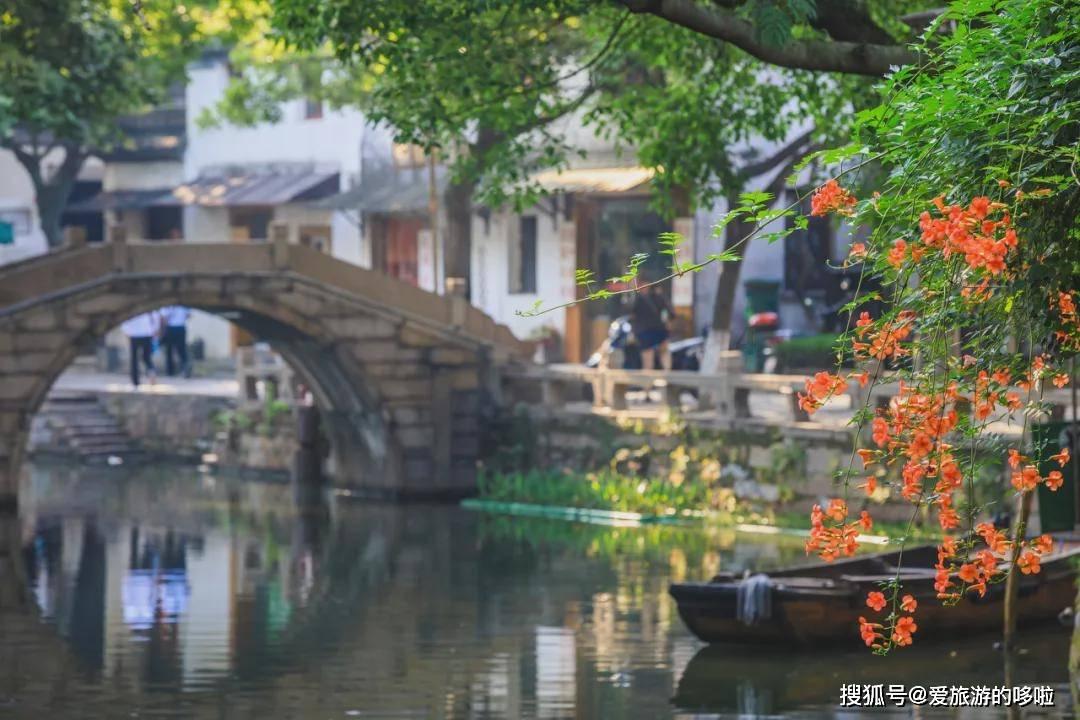 逗小猴开心系列163